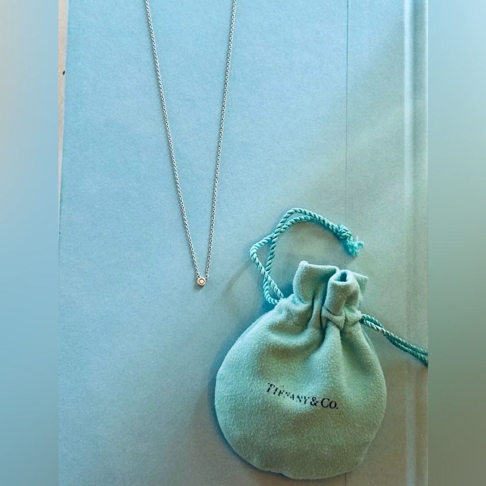 Tiffany & Co. Elsa Peretti® Diamonds by the Yard® .03 ct Stainless Silver Used
